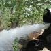 We used water irrationally, it shouldn’t be like this anymore – S. Zhaparov, Kizgiziya