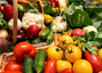 In the Ulyanovsk region, borscht will be grown in excess of the plan