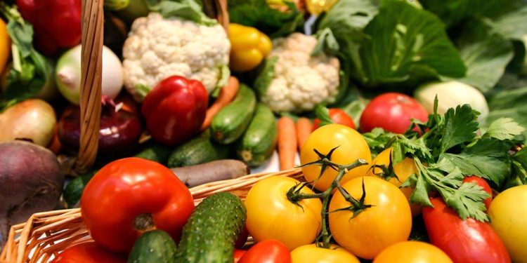 In the Ulyanovsk region, borscht will be grown in excess of the plan