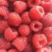 Crimean farmers harvested raspberries from an area of more than 25 hectares