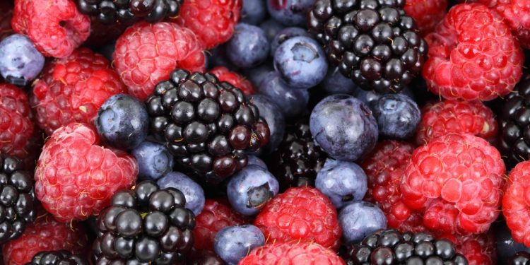 About 6 tons of fresh berries from Kyrgyzstan arrived in the Tyumen region
