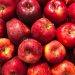 Summer varieties of apples and pears are being harvested in Kabardino-Balkaria