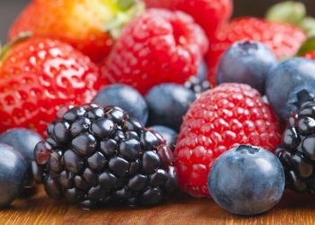 In the Leningrad region, a 20% increase in fruit harvest is expected