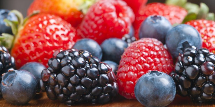 In the Leningrad region, a 20% increase in fruit harvest is expected
