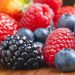 In the Leningrad region, a 20% increase in fruit harvest is expected