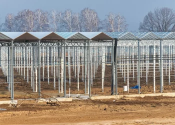 Near Voronezh, they returned to the implementation of one of the first greenhouse projects in the Chernozem region