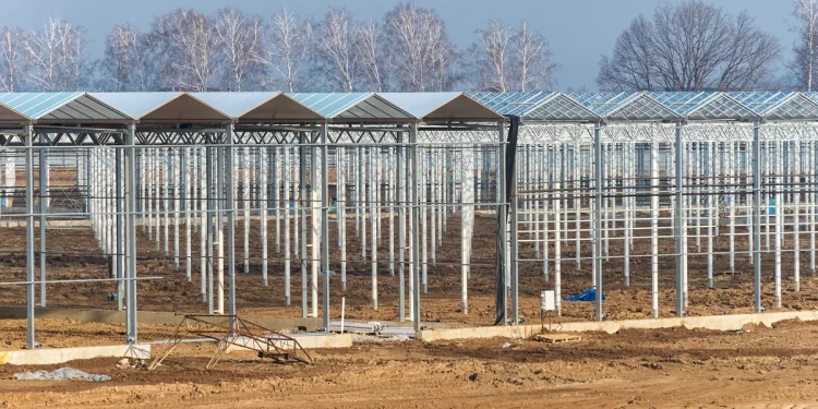 Near Voronezh, they returned to the implementation of one of the first greenhouse projects in the Chernozem region