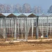 Near Voronezh, they returned to the implementation of one of the first greenhouse projects in the Chernozem region