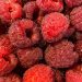 Harvesting of currants, raspberries, cherries began in Tambov farms