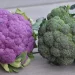 In broccoli found a substance that heals wounds twice as fast as antibiotics