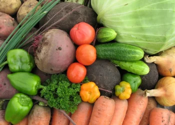 Harvesting of early vegetable crops has begun in the Tyumen region