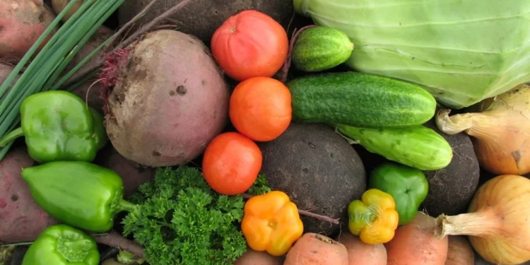 Harvesting of early vegetable crops has begun in the Tyumen region