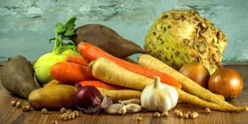 Vegetable producers will be able to receive subsidies for agrotechnical work