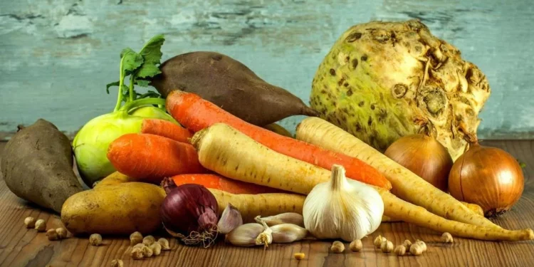 Vegetable producers will be able to receive subsidies for agrotechnical work