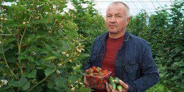 Vitaliy Babenko, Chairman of the Borisovskaya Strawberry cooperative, spoke about his business