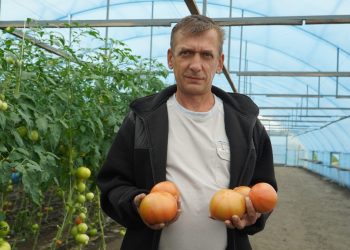 Residents of the Belgorod region continued the family business with a forty-year history thanks to the Agrostartup grant