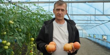 Residents of the Belgorod region continued the family business with a forty-year history thanks to the Agrostartup grant