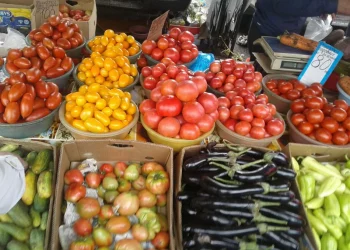 Who will be allowed to sell vegetables from gardens to supermarkets