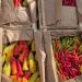 A batch of peppers infected with a dangerous quarantine weed is not allowed on the territory of the Omsk region
