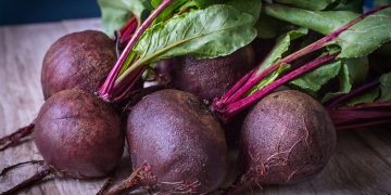 Crimea is covered by a “Tsunami”: fields are sown with sugar beet in Crimea