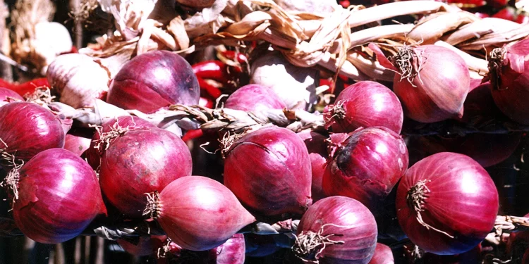 Tajikistan began to fall prices for the most expensive vegetable