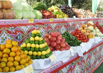 One million tons of vegetables harvested in Tajikistan
