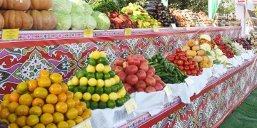 One million tons of vegetables harvested in Tajikistan