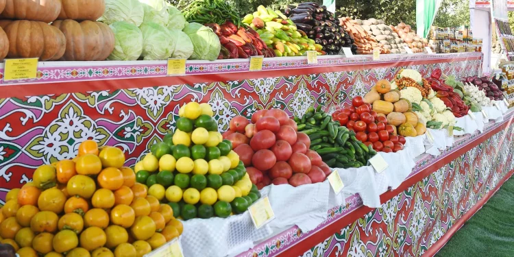 One million tons of vegetables harvested in Tajikistan