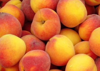 Consignments of infected peaches will be destroyed in Petrozavodsk
