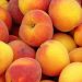 Consignments of infected peaches will be destroyed in Petrozavodsk