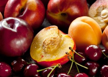 Agroclimatic Metrics for the Main Stone Fruit Producing Areas in Spain in Current and Future Climate Change Scenarios: Implications From an Adaptive Point of View