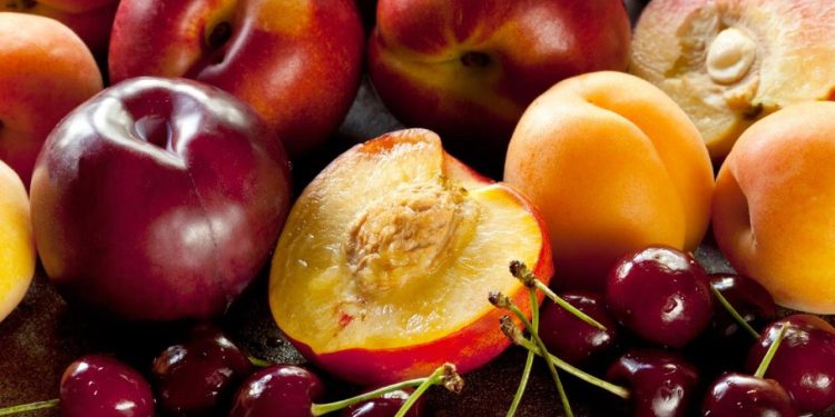 Agroclimatic Metrics for the Main Stone Fruit Producing Areas in Spain in Current and Future Climate Change Scenarios: Implications From an Adaptive Point of View