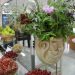 INTERNATIONAL FORUM “GARDEN DAYS IN BIRYULEVO” OPENED IN MOSCOW