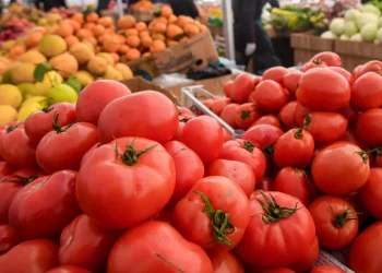 Worth its weight in gold: why tomatoes are becoming more expensive in Azerbaijan