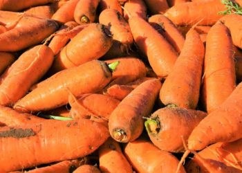 Crimean farmers harvested 43% more vegetables this year