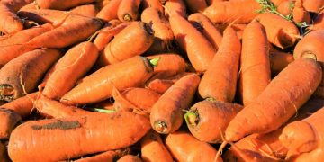 Crimean farmers harvested 43% more vegetables this year