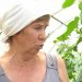 Kostroma gardeners began to boast of zucchini