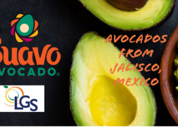 LGS Specialty Sales begins sourcing avocados from Jalisco, Mexico