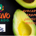 LGS Specialty Sales begins sourcing avocados from Jalisco, Mexico