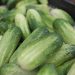 The yield of vegetables and potatoes increased by 5% in Primorye