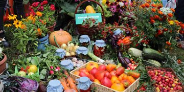 Grapes, watermelons and bright dahlias: the achievements of rural gardeners and gardeners were presented in Novosibirsk