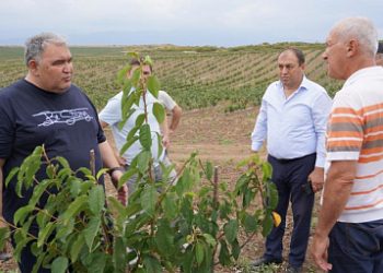 Mukhtarbiy Adzhekov got acquainted with the gardens in the south of Dagestan