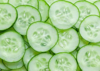 GLOBAL MARKET OVERVIEW: CUCUMBERS