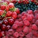 Raspberries, cherries and currants will receive national quality certificates
