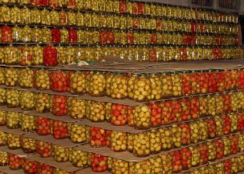 VEGETABLE PRODUCTS FROM “NALMES” PEASANT-FARMERS HAVE BEEN IN HIGH DEMAND FOR MORE THAN 20 YEARS