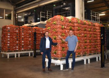 Hat trick for Dutch onion packer Jonika with Symach palletizers
