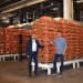 Hat trick for Dutch onion packer Jonika with Symach palletizers
