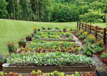 Abramchenko said that private farms will have access to soft loans