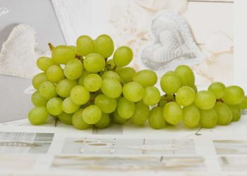 World exports of table grapes hit a record high