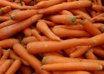 Vegetables have fallen sharply in Bashkiria